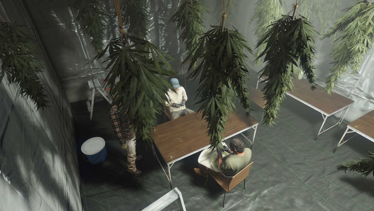 Members of a criminal enterprise sit around a desk in a room with weed plants in key art for GTA Online.
