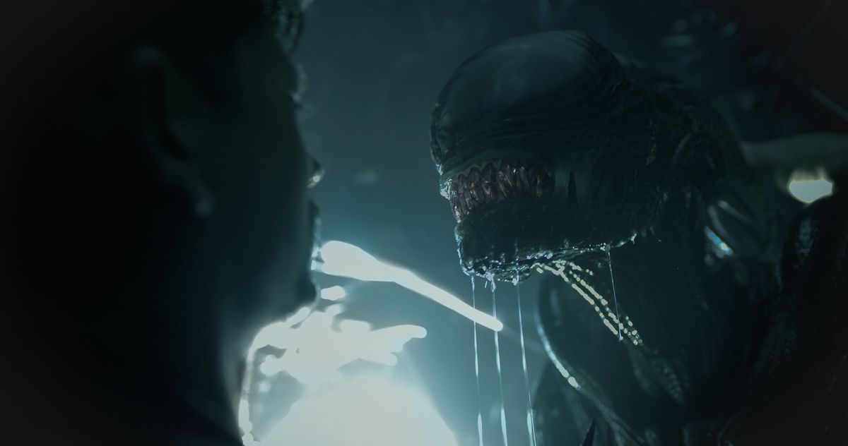 A xenomorph snarls and drools at a person’s face in Alien: Romulus