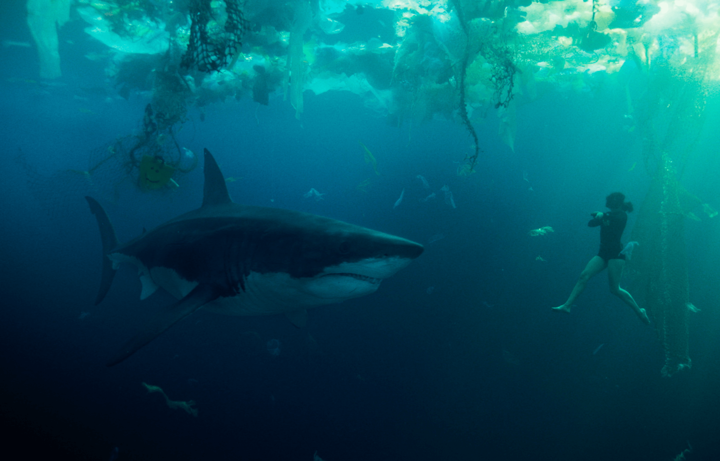 A Shark and a woman under water stare at each other in Under Paris