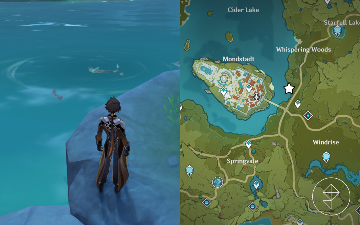 A split map showing fish swimming in a night lake on the left with a star marking its location on the right