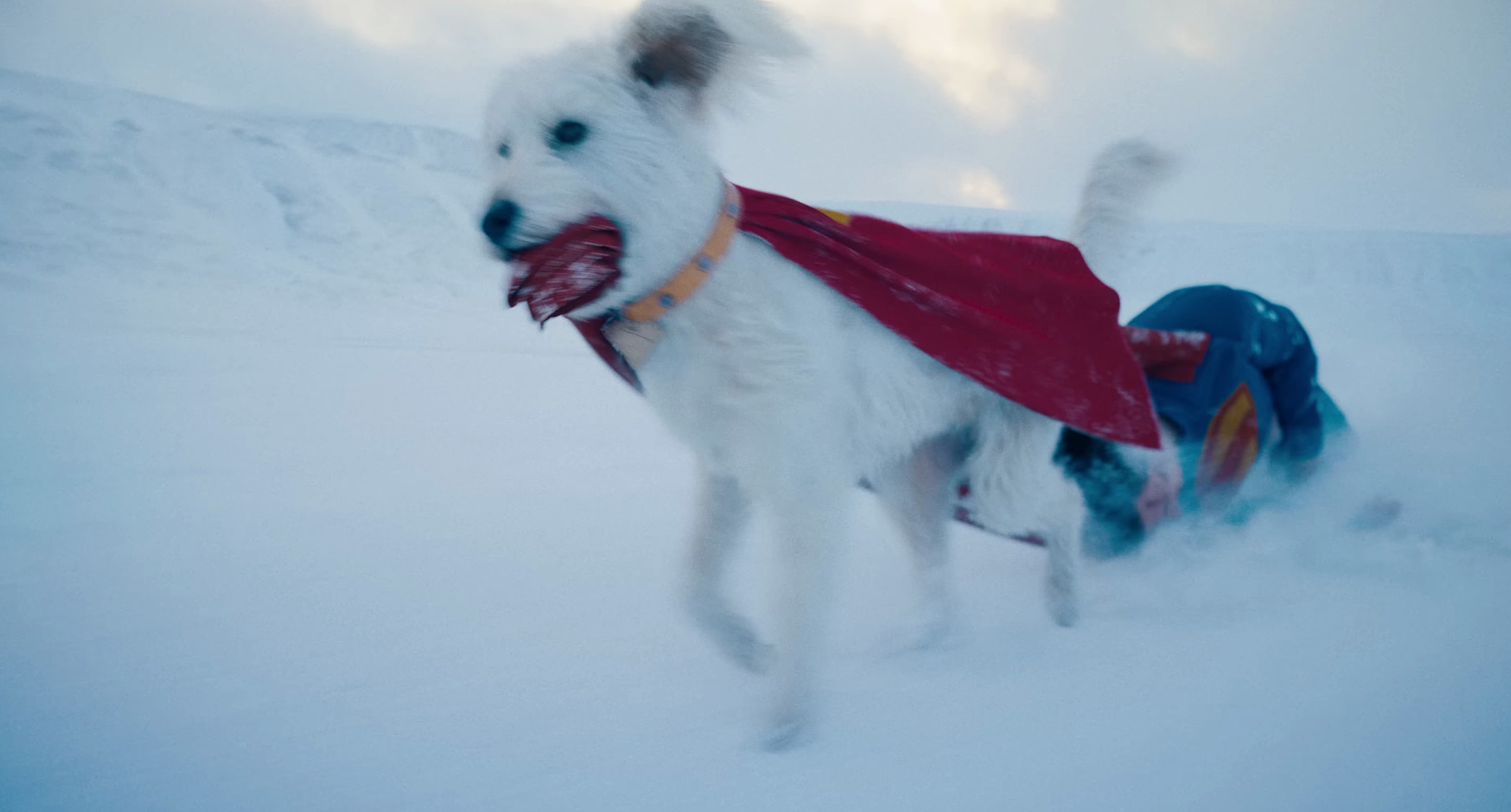 Krypto dragging Superman across the arctic in the 2025 movie