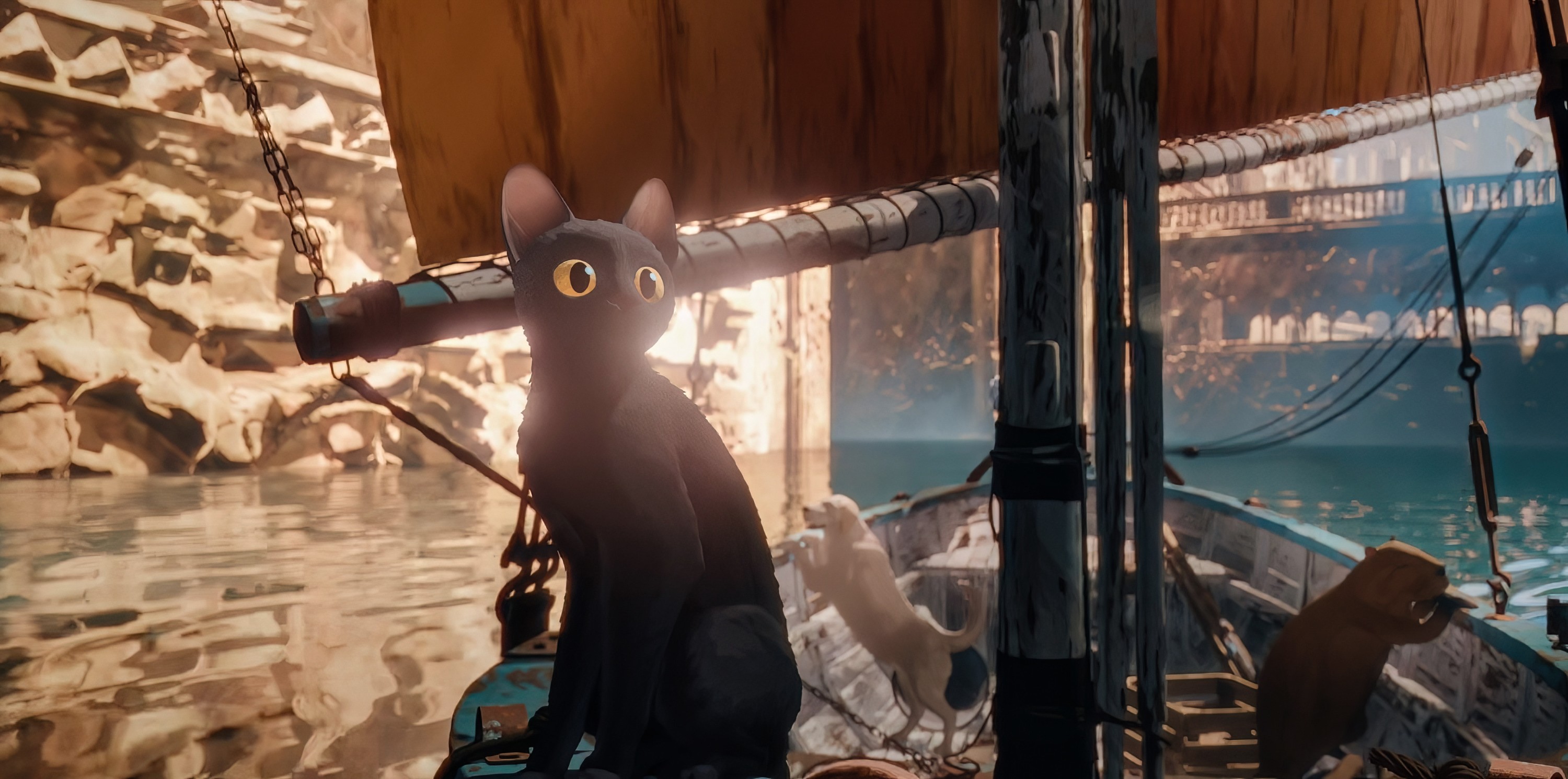 A black cat stands on the deck of a sailboat, peering out in Flow