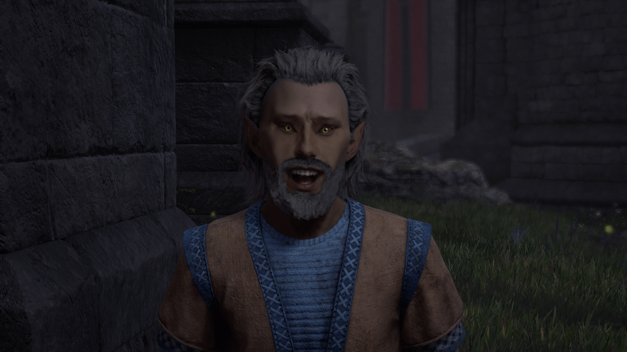 Galrthir stands in front of grass in Oblivion Remastered