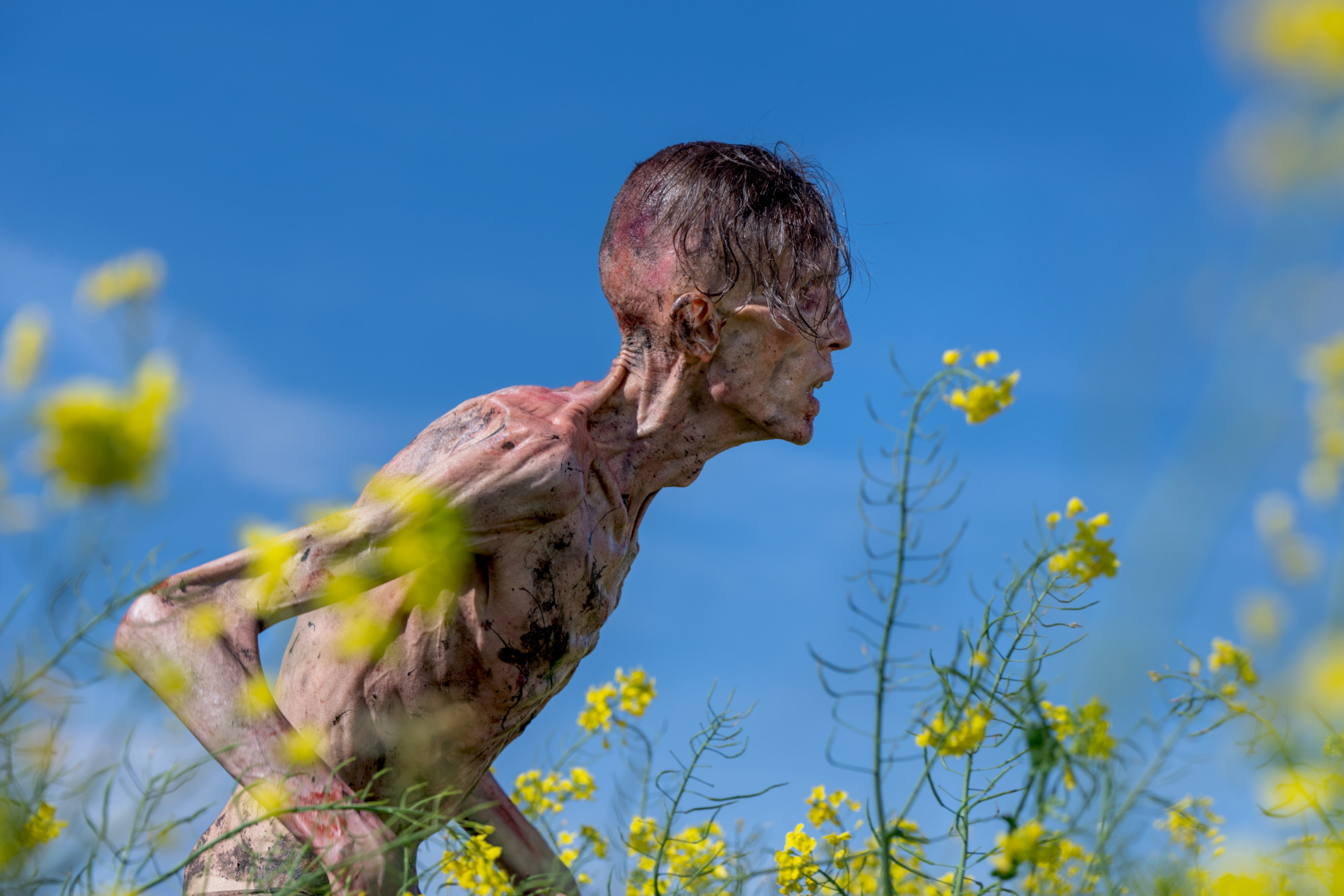 28 Years Later breathes new life into zombie horror yet again