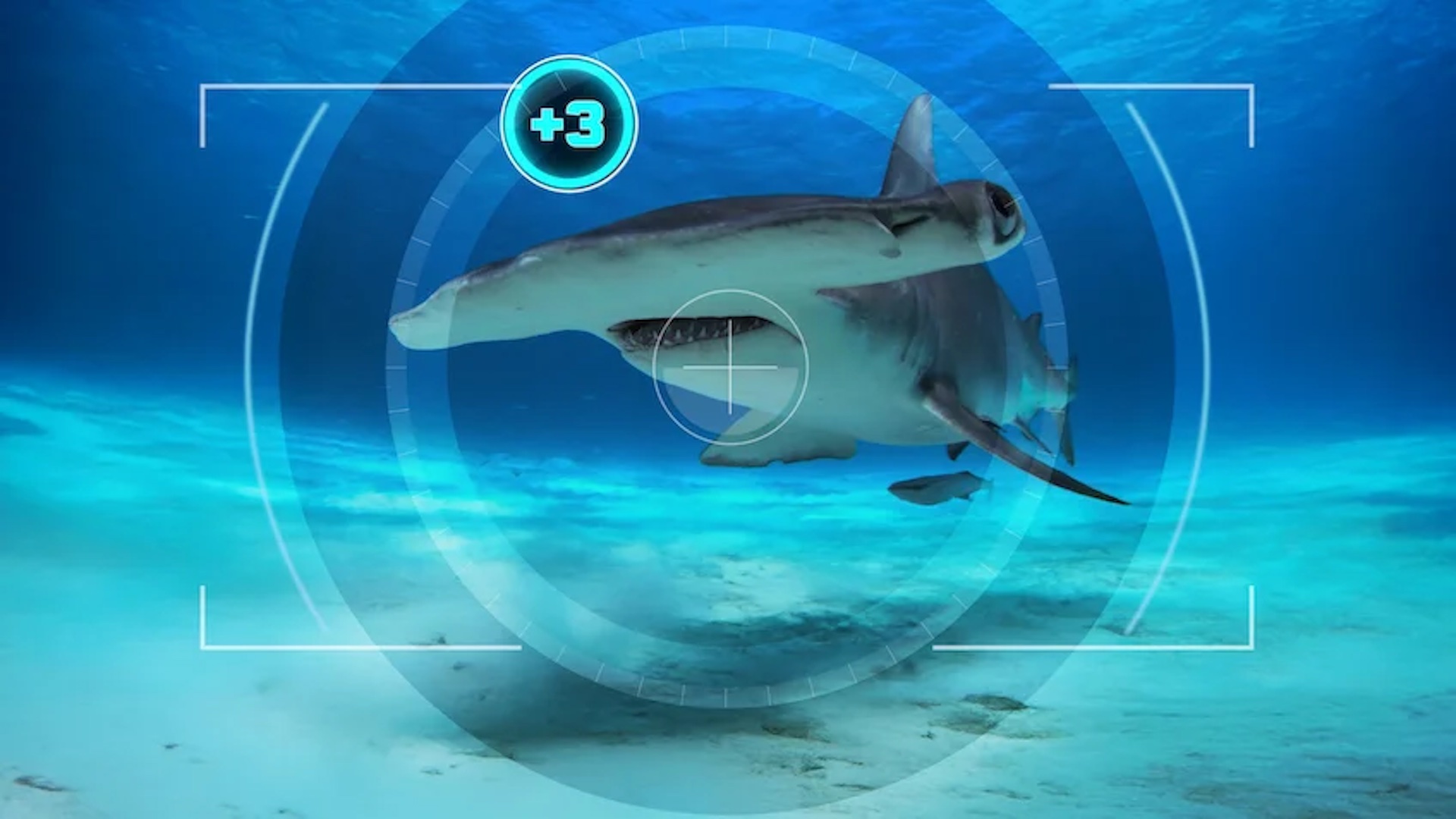 Netflix’s new reality show is Pokémon Snap with sharks