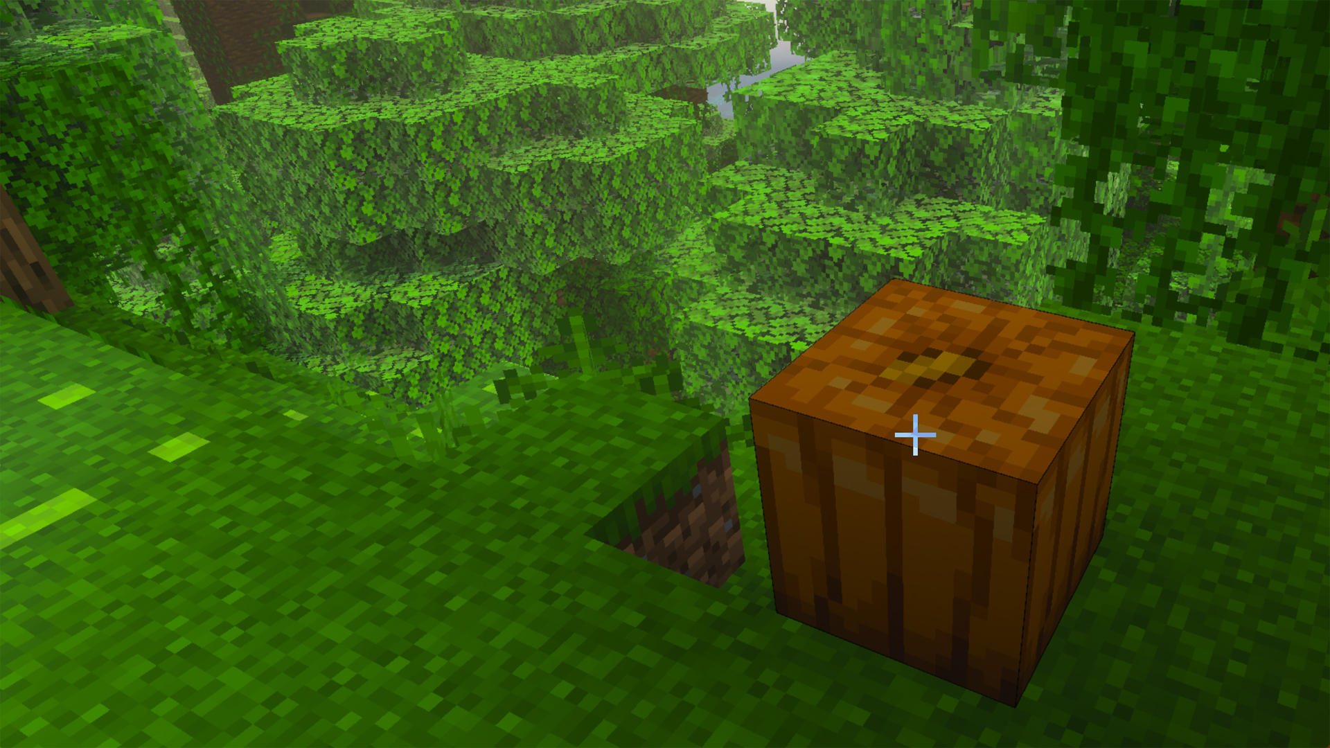 A pumpkin in Minecraft.