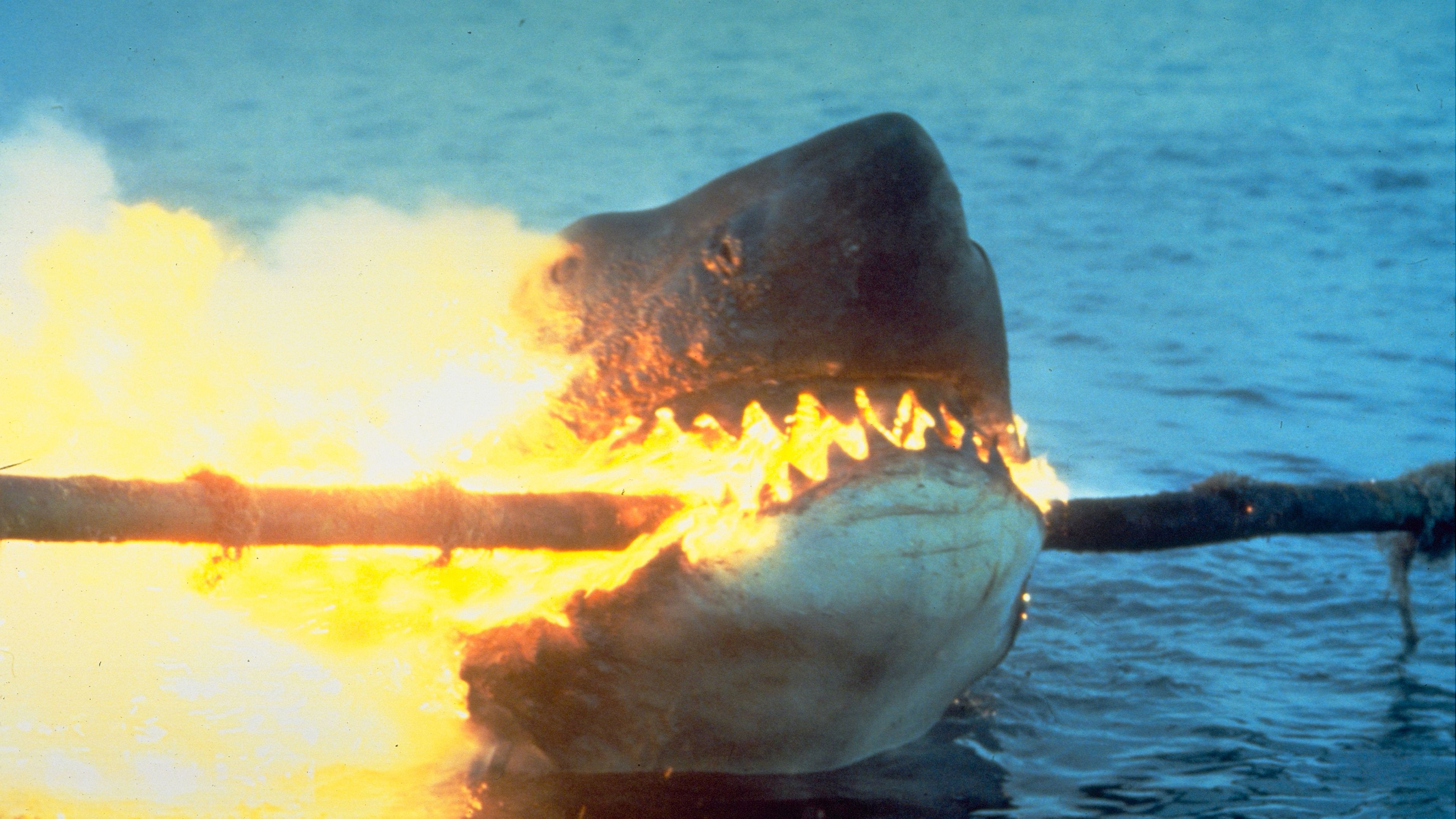 In an image from the movie Jaws 2, a fake-looking shark takes a bite out of an electrical line, engulfing its mouth in flames.