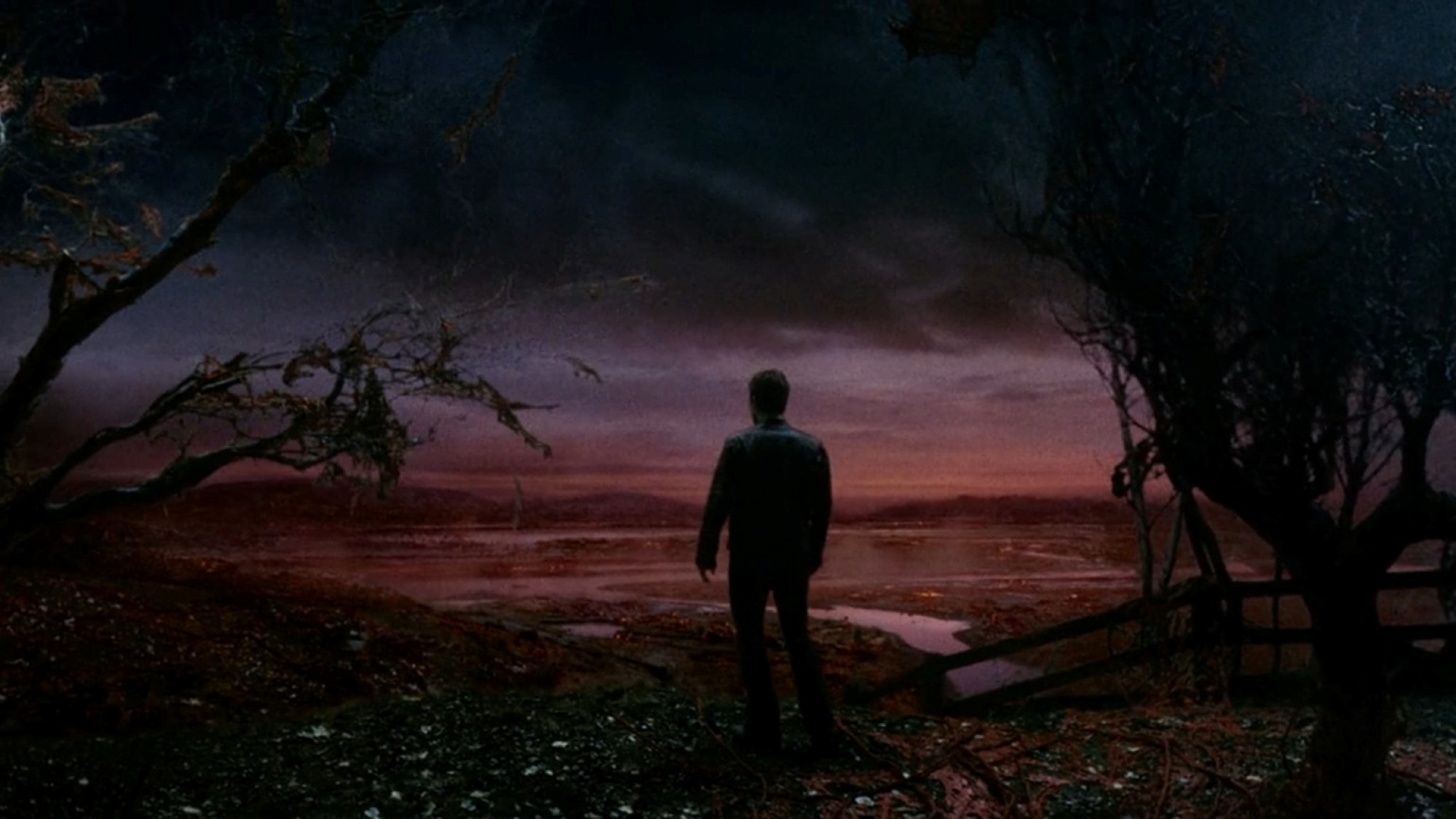A wide landscape shot turns blood red as Ray, played by Tom Cruise, looks over a field of alien vegetation in the 2005 film War of the Worlds.