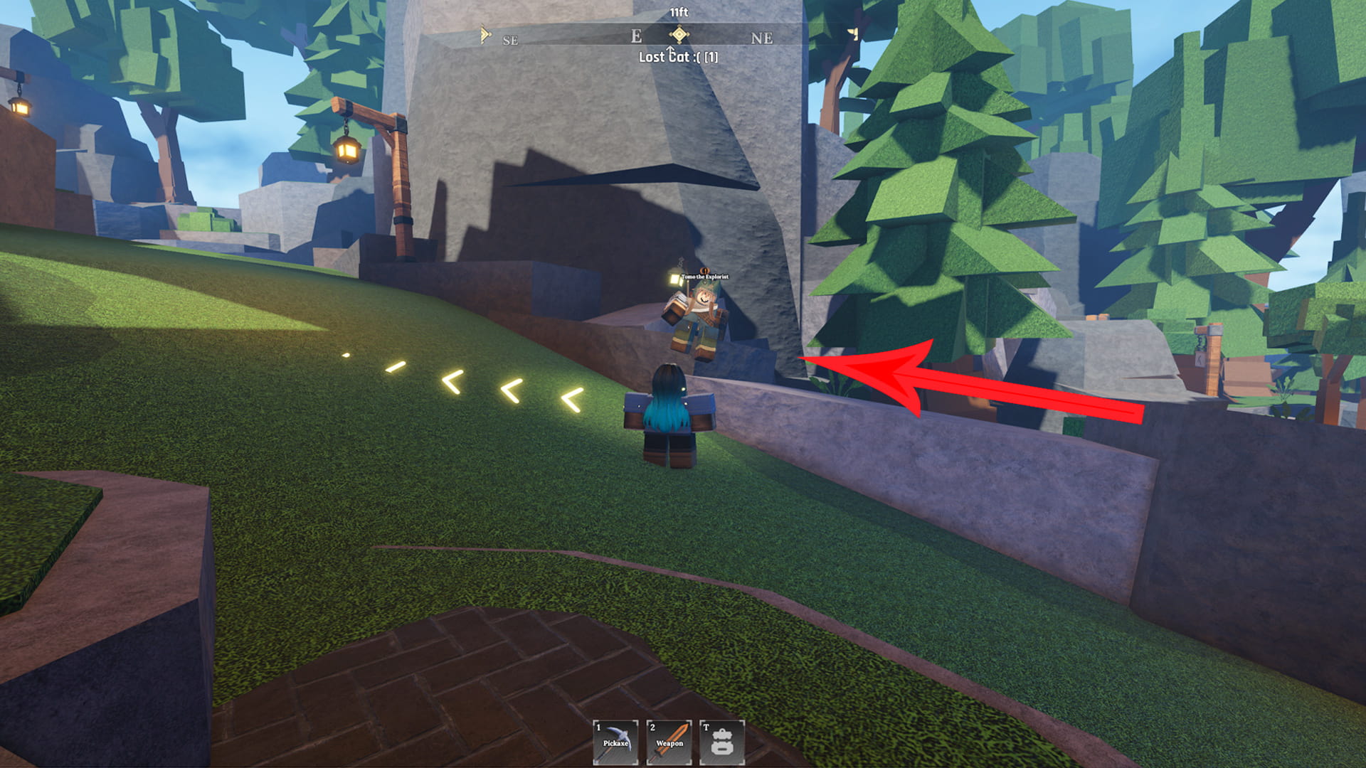 Where to find Tomo's lost cat in The Forge